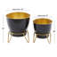 Ensemble de 2 pots à fleurs en fer Cole and Grey-1683738350