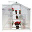 Aiza Greenhouse-381439993-381439943