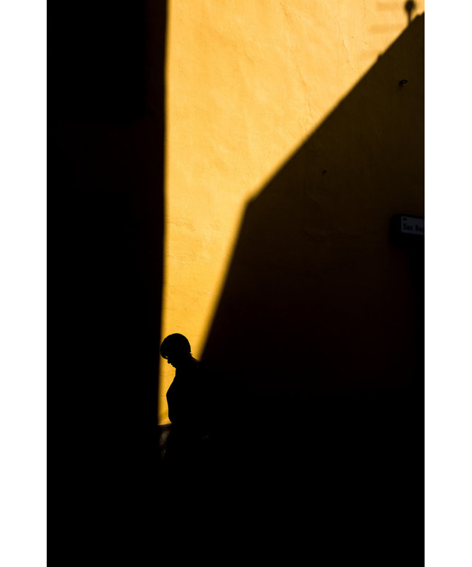 Wrapped Canvas Print, 76.2 cm H x 50.8 cm W