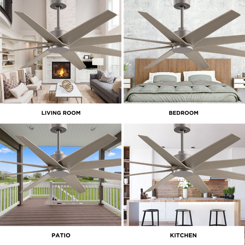 Ariella - Eight Blade Ceiling Fan - Brushed Brass Finish - Matte Black Blades, Brushed Nickel, Brushed Nickel