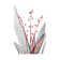 Lily Of The Blush II by Albert Koetsier - Wrapped Canvas Print