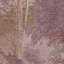 Superfresco Easy Sylva Wallpaper-119317918