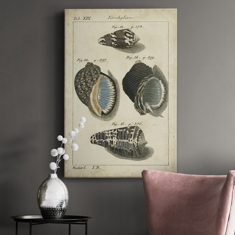 Étude de coquillage rétro III - peinture sur toile tendue, H 12 po x l 8 po x P 1 po