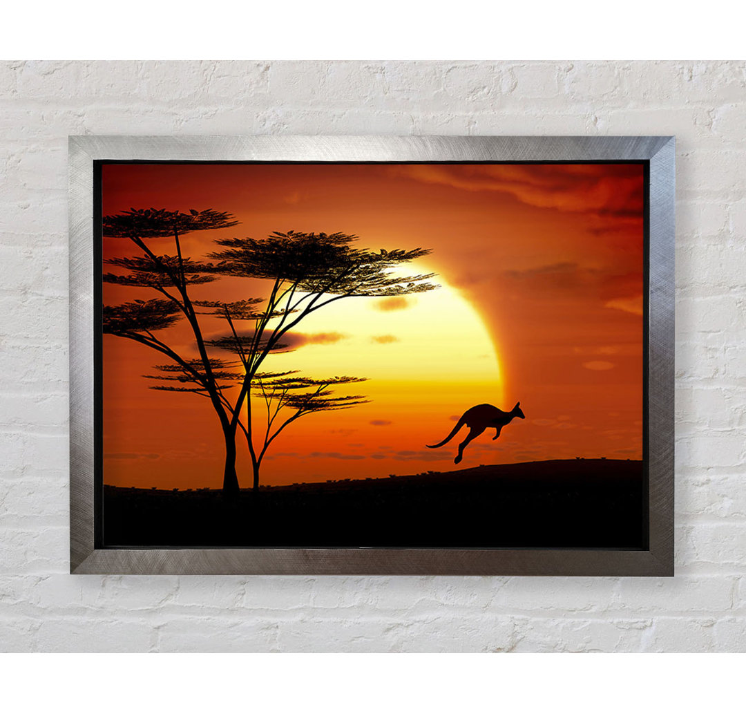 Gerahmtes Leinwandbild Kangaroo Sun Glow