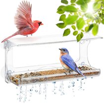Mangeoire à oiseaux en acrylique transparent avec plateau amovible, trous  de drainage et 3 ventouses robustes, design résistant aux intempéries,  résistant aux écureuils, draine l'eau de pluie : : Terrasse et  Jardin