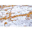 Abstract Area Rug-70781917