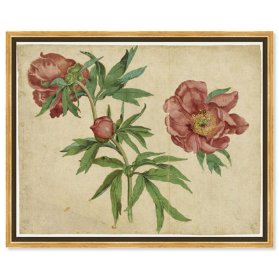 Études sur pivoines, art mural rétro sur toile par Art Remedy