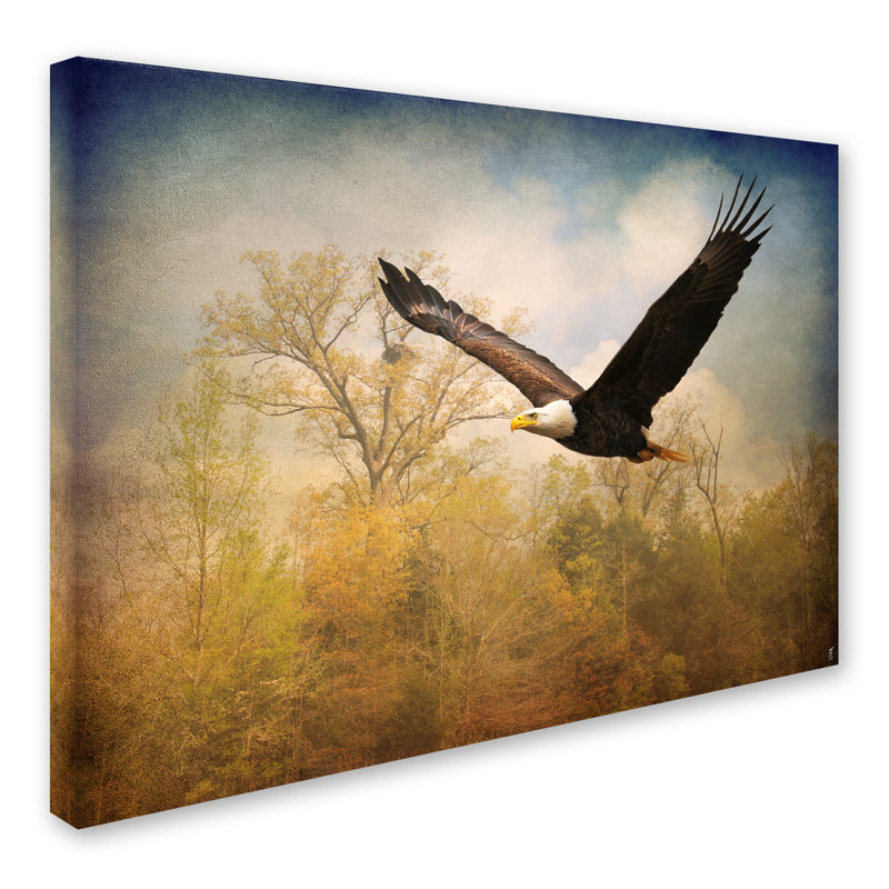«Monarch of the Skies Bald Eagle» par Vidur, reproduction de photo sur toile tendue, H 35 po x l 47 po