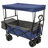 Collapsible Foldable Wagon With Canopy