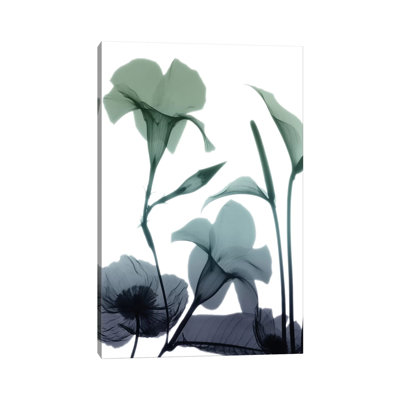 «Mystic Bloom I» par Albert Koetsier, reproduction d'art sur toile tendue