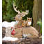 Figurine Buck et ses amis