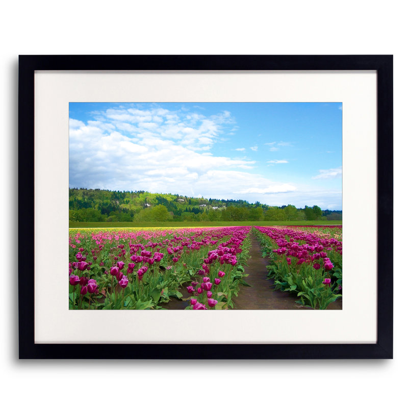Tulip Fields Print by Tom Kostes, 24" H x 32" W
