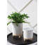 Fenna Handmade Ceramic Pot Planter-73058648