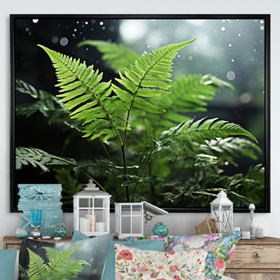 " Ferns Close Up Photo IV "