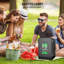 Ebern Designs Beverage Refrigerator