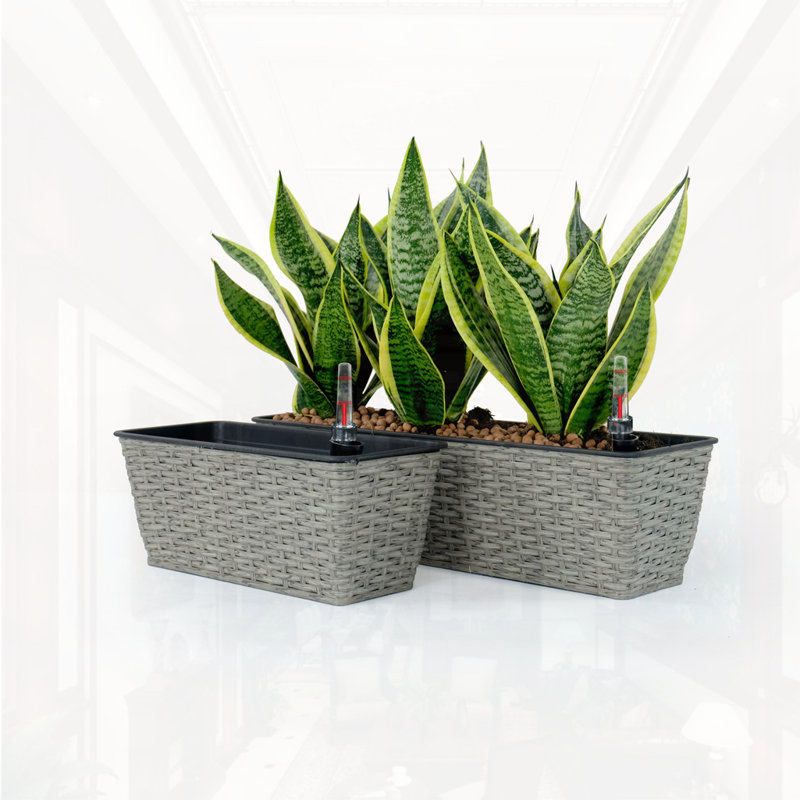 Ensemble de 2 pots de fleurs rectangulaires à arrosage intelligent, Gris