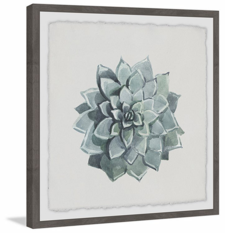 «Flower Top View II», reproduction sur papier encadrée, H 12 po x l 12 po x P 1,5 po, Encadré gris