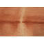 Tapis rouge Coral