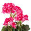 Buisson géranium artificiel Benita 20 po-196705638