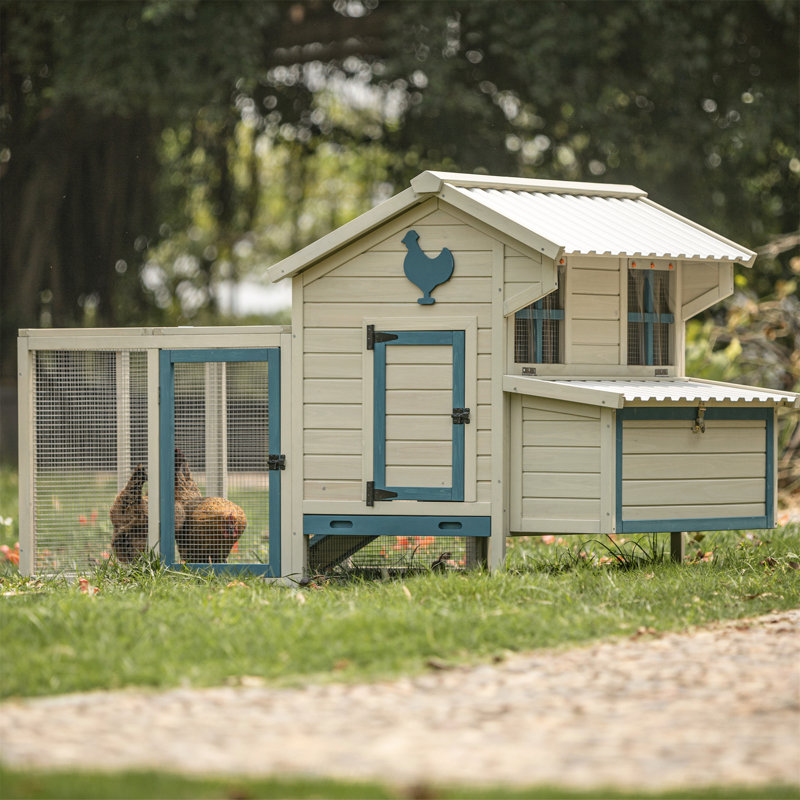 Large Beige and Blue Solid Wood Chicken Coop with Removable Bottom