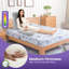 Coussin Taube