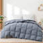 600 Fill Power All Season Down Comforter/Duvet Insert-246732617-246732619