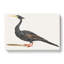 Water Bird by Johan Teyler - Wrapped Canvas Painting-55303545