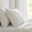 Martha Stewart Cotton Percale  Sheet Set-123293196-115629656