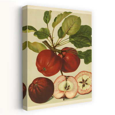 Red Veli Apples II, art contemporain rétro réaliste