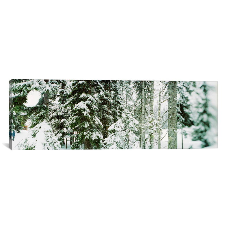 « stevensing », reproduction de photo sur toile en vert et blanc, recouvert de neige à l’passe, H 16 po x l 48 po x P 1,5 po