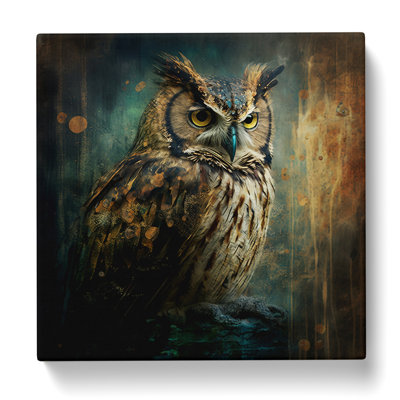 Owl Grunge Art - Wrapped Canvas