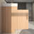 42'' Single Bathroom Vanity with Acrylic Top-98420106