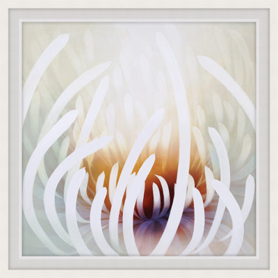 Exquisite Treasures 4 Print by Art House Studios
