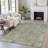 Machine Washable Indoor/Outdoor Xhevrie Brown Rug-111939908