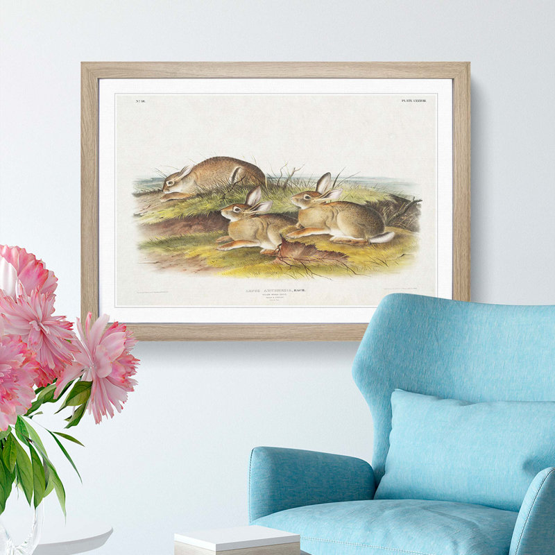 Warm Wood Hare by J.W. Audubon - Framed Print, 27cm H x 36cm W x 2cm D, Oak Framed