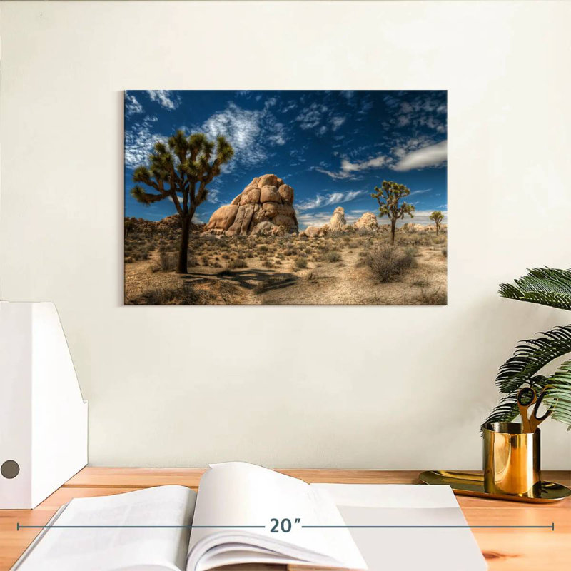 Alvord Joshua Tree Lone Rock Formation, H 8 po x l 12 po