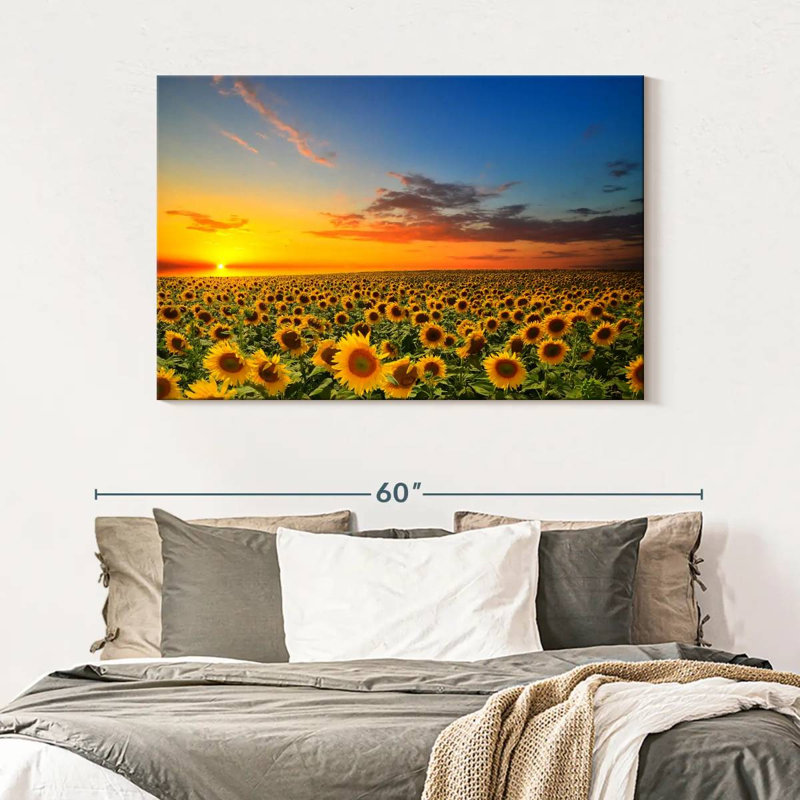 Crépuscule champ de tournesol Alvord, H 32 po x l 48 po