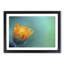 Blooming Orange Magnolia Flower in Abstract - Picture Frame Graphic Art Print-55687223-55687229