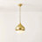Luciel 1 Light Pendant