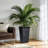 2-Pack 22.7 Inch Black Tall Rectangular Planters