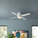 Poppe 52'' Ceiling Fan with LED Lights