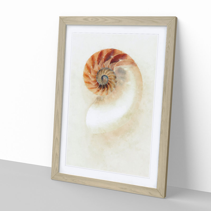 Mother of Pearl Shell - Framed Print, 65cm H x 48cm W x 2cm D, Oak Framed