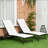 Chaise Lounge Outdoor