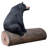 Black Bear on a Log Sculptural Bench
