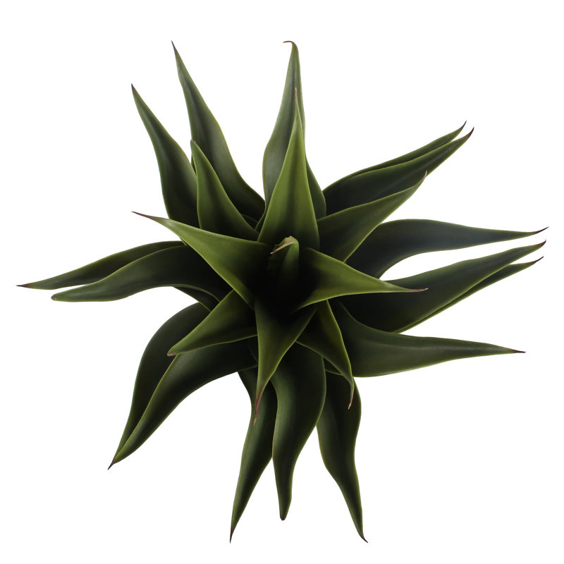 2 - Piece Artificial Agave Plant in Planter Set, White