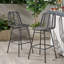 Tabourets de bar d'extérieur en osier Sawtelle (ensemble de 2)-138096779
