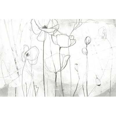 Poppy Sketches I by June Erica Vess - Painting