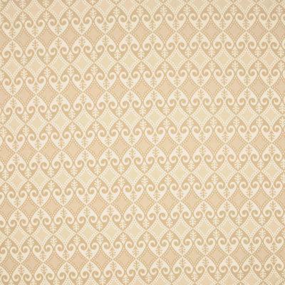 Allure Ikat Fabric