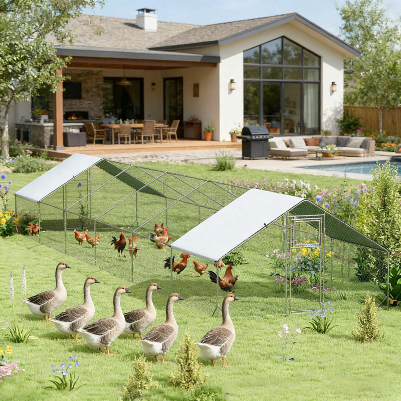 Grande maison pour animaux de compagnie, poulailler, poulailler extérieur, maison pour canards