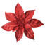 Angelicque Polyethylene (PE) Poinsettia Arrangement-295028120